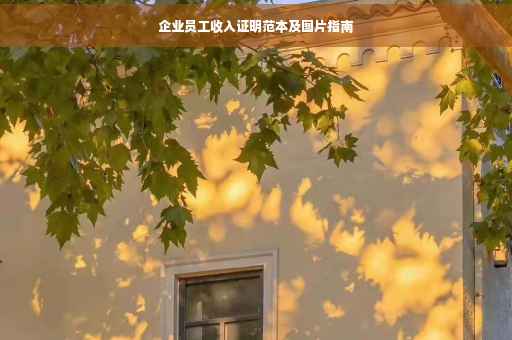 企业员工收入证明范本及图片指南