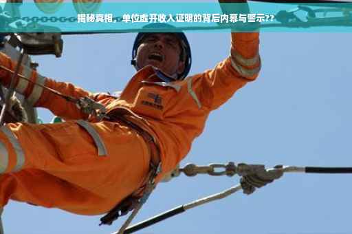 揭秘真相，单位虚开收入证明的背后内幕与警示??