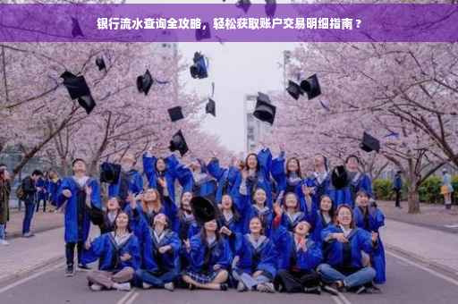 银行流水查询全攻略，轻松获取账户交易明细指南 ?