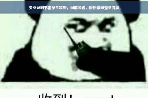失业证明书盖章全攻略，图解步骤，轻松掌握盖章流程