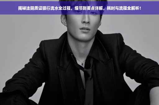 揭秘法院质证银行流水全过程，细节到要点详解，耗时与流程全解析！