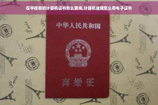 在学校看的计算机证书怎么查询,计算机成绩怎么看电子证书