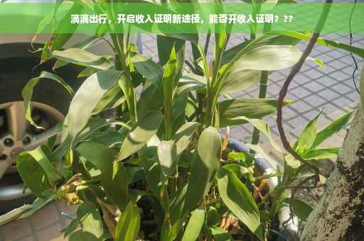 滴滴出行，开启收入证明新途径，能否开收入证明？??
