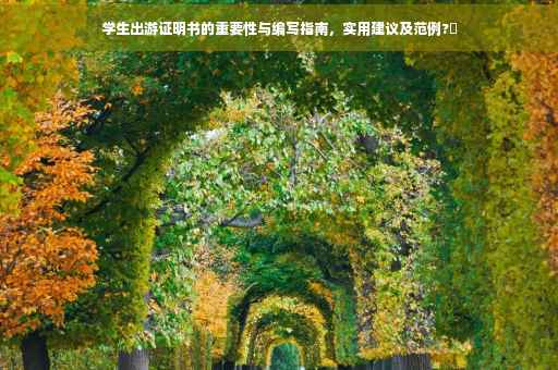 学生出游证明书的重要性与编写指南，实用建议及范例?✨