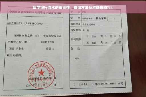 留学银行流水的重要性、查询方法及准备攻略?⚡️