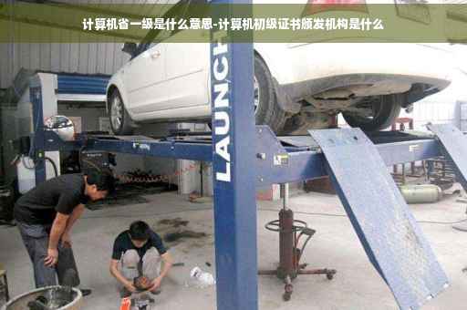 计算机省一级是什么意思-计算机初级证书颁发机构是什么