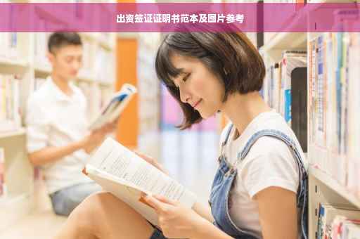 出资签证证明书范本及图片参考