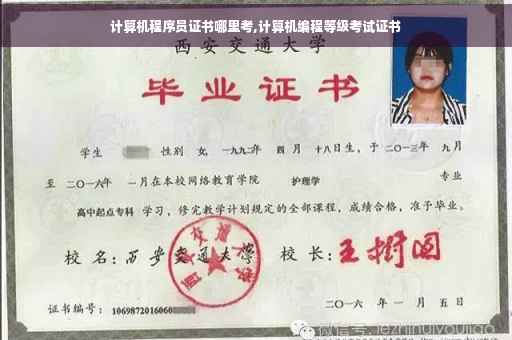 计算机程序员证书哪里考,计算机编程等级考试证书