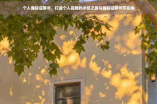 个人商标证明书，打造个人品牌的必经之路与商标证明书写指南