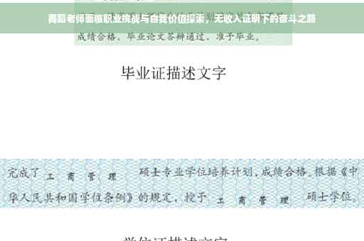 舞蹈老师面临职业挑战与自我价值探索，无收入证明下的奋斗之路