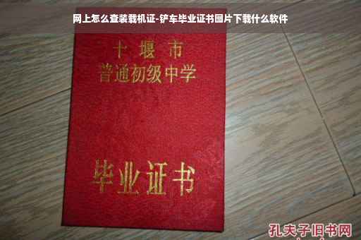 网上怎么查装载机证-铲车毕业证书图片下载什么软件