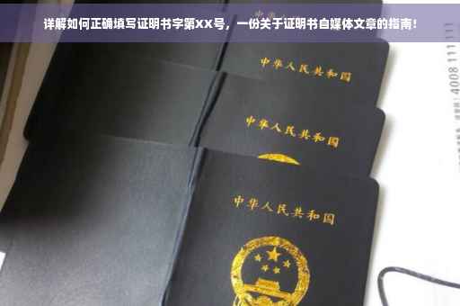 详解如何正确填写证明书字第XX号，一份关于证明书自媒体文章的指南！