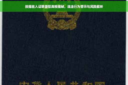 按揭收入证明盖假真相揭秘，违法行为警示与风险解析