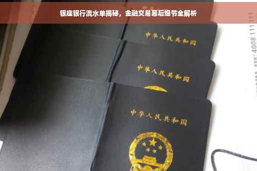 银座银行流水单揭秘，金融交易幕后细节全解析