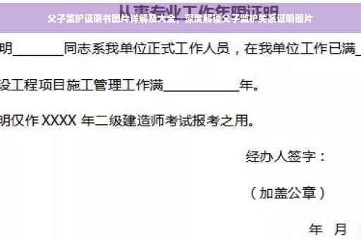 父子监护证明书图片详解及大全，深度解读父子监护关系证明图片