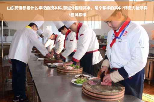 山东菏泽都报什么学校函授本科,聊城外国语高中，是个怎样的高中?师资力量怎样?校风怎样