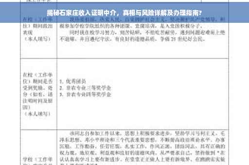 揭秘石家庄收入证明中介，真相与风险详解及办理指南?