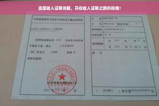 卖菜收入证明详解，开启收入证明之路的指南！