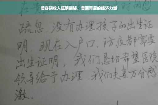 美容院收入证明揭秘，美丽背后的经济力量