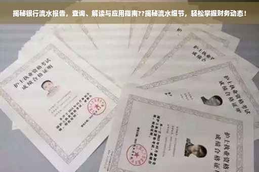 揭秘银行流水报告，查询、解读与应用指南??揭秘流水细节，轻松掌握财务动态！
