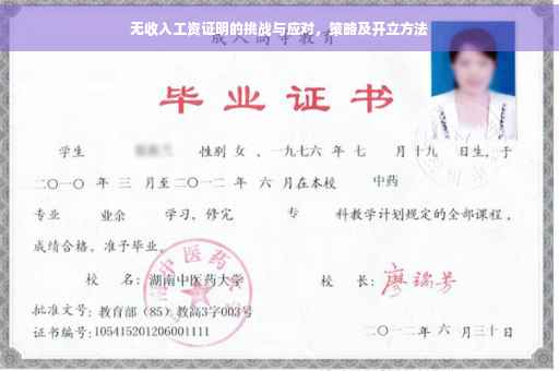 无收入工资证明的挑战与应对，策略及开立方法