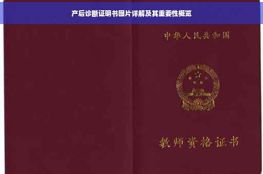 产后诊断证明书图片详解及其重要性概览