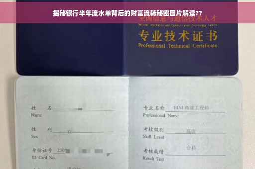 揭秘银行半年流水单背后的财富流转秘密图片解读??