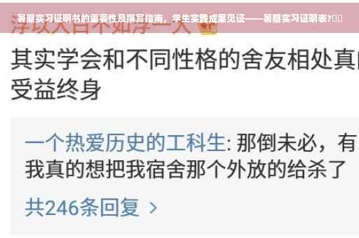暑期实习证明书的重要性及撰写指南，学生实践成果见证——暑期实习证明表?⚡️
