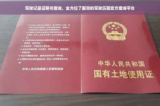 驾驶记录证明书查询，全方位了解您的驾驶历程官方查询平台