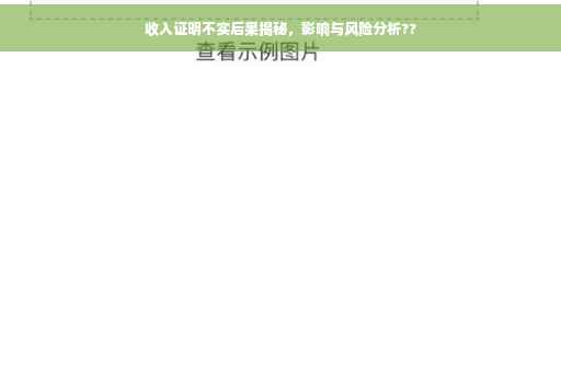 收入证明不实后果揭秘，影响与风险分析??