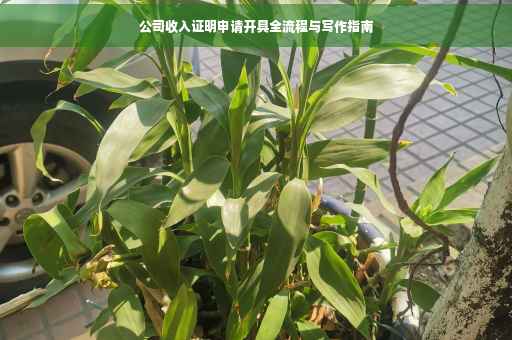 公司收入证明申请开具全流程与写作指南