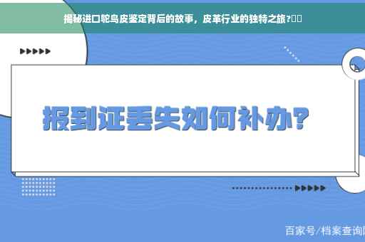 揭秘进口鸵鸟皮鉴定背后的故事，皮革行业的独特之旅?⚡️