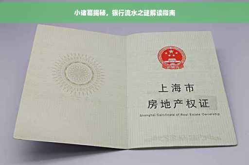 小诸葛揭秘，银行流水之谜解读指南