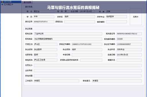 马蓉与银行流水背后的真相揭秘