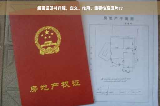 解离证明书详解，定义、作用、重要性及图片??