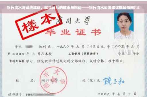 银行流水与司法建议，解读背后的故事与挑战——银行流水司法建议撰写指南?⚡️