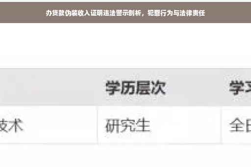 办贷款伪装收入证明违法警示剖析，犯罪行为与法律责任