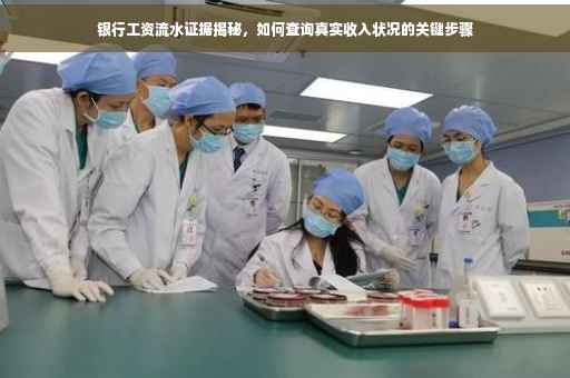 银行工资流水证据揭秘，如何查询真实收入状况的关键步骤