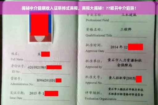 揭秘中介隐瞒收入证明格式真相，真相大揭秘！??避开中介陷阱！
