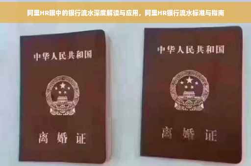 阿里HR眼中的银行流水深度解读与应用，阿里HR银行流水标准与指南