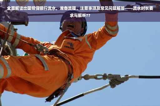 全面解读出国担保银行流水，准备流程、注意事项及常见问题解答——流水时长要求与解析??