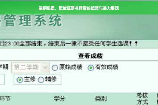 攀钢集团，质量证明书背后的信誉与实力展现