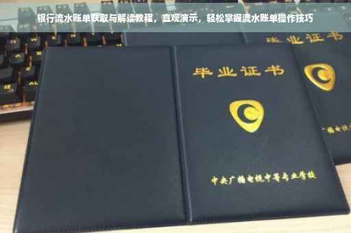 银行流水账单获取与解读教程，直观演示，轻松掌握流水账单操作技巧