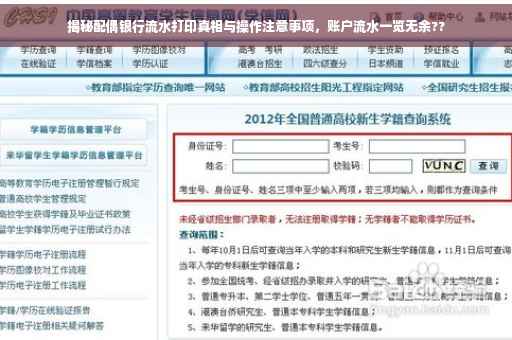 揭秘配偶银行流水打印真相与操作注意事项，账户流水一览无余??