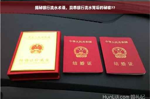 揭秘银行流水术语，洞悉银行流水背后的秘密??