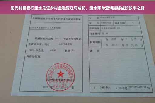 阳光村镇银行流水见证乡村金融变迁与成长，流水账单查询揭秘成长故事之路