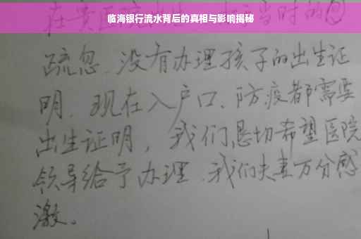 临海银行流水背后的真相与影响揭秘