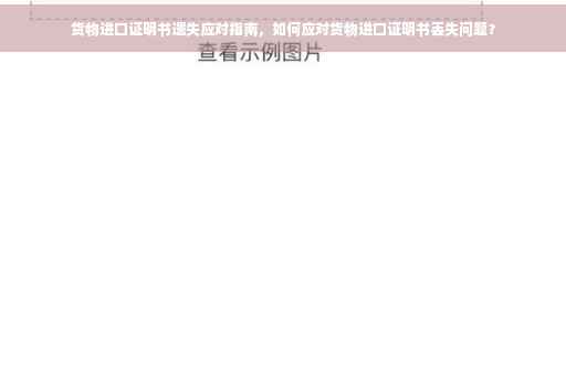 货物进口证明书遗失应对指南，如何应对货物进口证明书丢失问题？