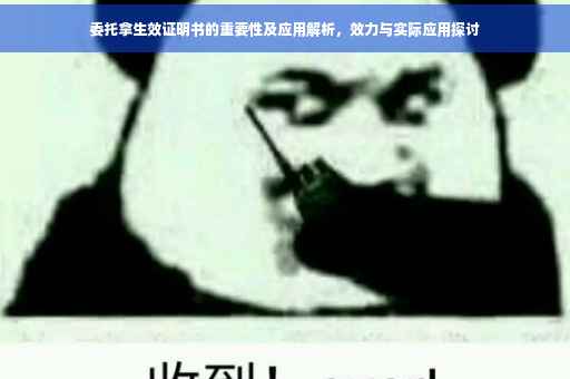 委托拿生效证明书的重要性及应用解析，效力与实际应用探讨