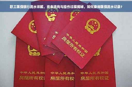 职工医保银行流水详解，资金流向与操作过程揭秘，如何查询医保流水记录？
